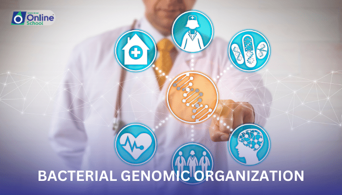 Lesson 06: Bacterial Genomic Organization